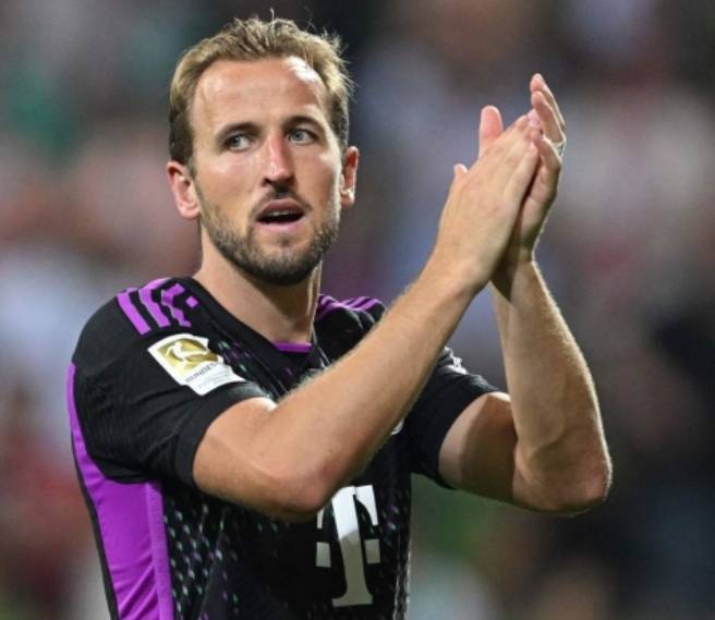 赏性和提升 赏性和提升